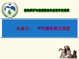 任务三：