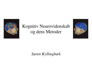 Kognitiv Neurovidenskab og dens Metoder