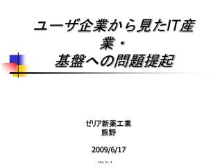 ユーザ企業から見た IT 産業・ 基盤への問題提起