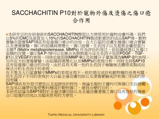 SACCHACHITIN P10 對於寵物外傷及燙傷之傷口癒合作用