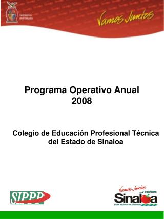 Programa Operativo Anual 2008