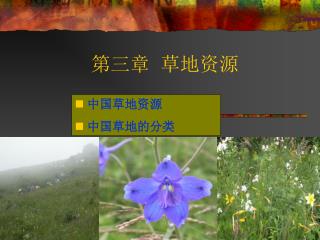 第三章 草地资源