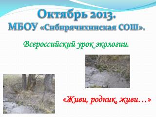 Октябрь 2013. МБОУ « Сибирячихинская СОШ».