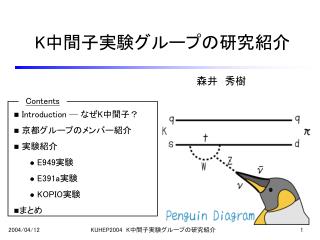 K 中間子実験グループの研究紹介