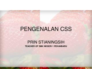 PENGENALAN CSS