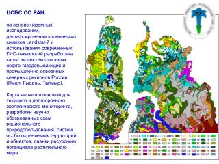 ЦСБС СО РАН: