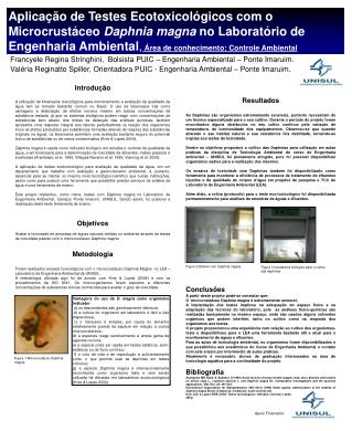 Francyele Regina Stringhini, Bolsista PUIC – Engenharia Ambiental – Ponte Imaruim.