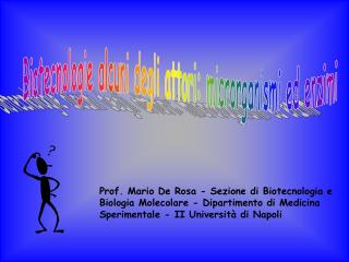 Biotecnologie alcuni degli attori: microrganismi ed enzimi