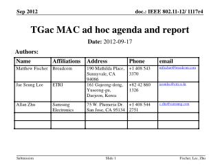 TGac MAC ad hoc agenda and report