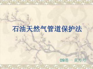 石油天然气管道保护法