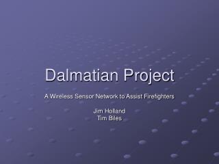 Dalmatian Project