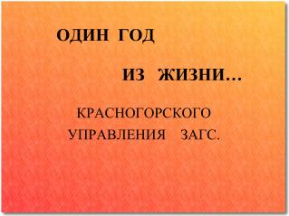 ОДИН ГОД ИЗ ЖИЗНИ…