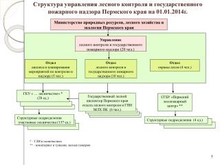 СГБУ «Пермский лесопожарный центр» **