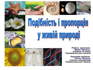 Роботу виконала: Марія Уманець , учениця 10 класу Нововолинської гімназії Науковий керівник: