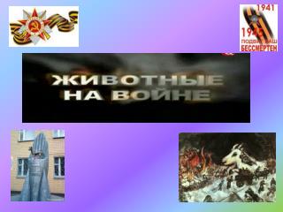 Лошади