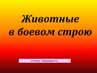 Животные в боевом строю