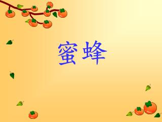 社會性昆蟲