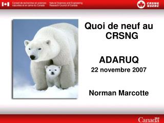 Quoi de neuf au CRSNG ADARUQ 22 novembre 2007 Norman Marcotte