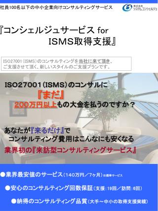 社員 100 名以下の中小企業向けコンサルティングサービス
