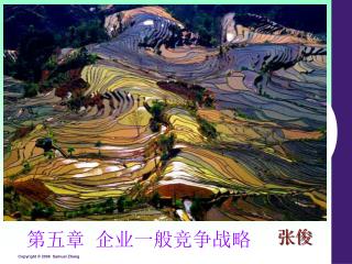 第五章 企业一般竞争战略