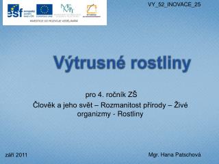 Výtrusné rostliny