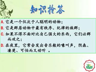 A. 它是一个仅次于人聪明的动物； B. 它是群居动物中最有秩序、纪律的族群； C. 如果不得不面对比自己强大的东西，它们必群而攻之；