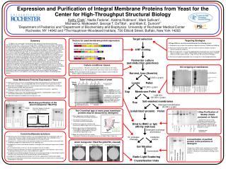 Expression and Purification of Integral Membrane Proteins from Yeast for the