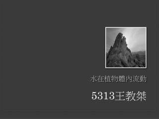 水在植物體內流動