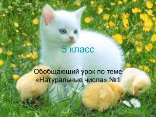 5 класс