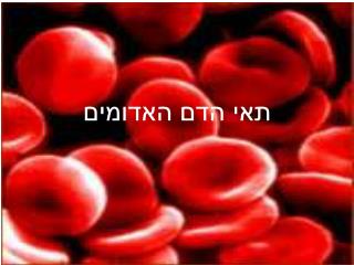 תאי הדם האדומים