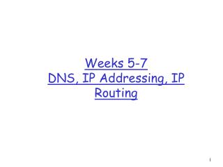 Weeks 5-7 DNS, IP Addressing, IP Routing
