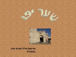 שער יפו