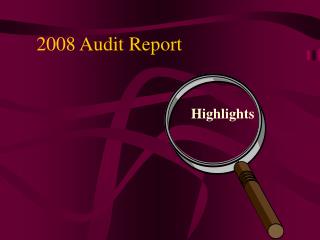 2008 Audit Report