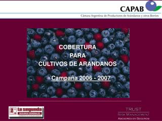 COBERTURA PARA CULTIVOS DE ARANDANOS