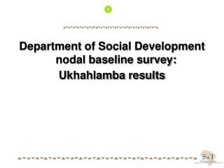 Department of Social Development nodal baseline survey: Ukhahlamba results