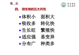 绪 论