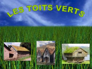 LES TOITS VERTS