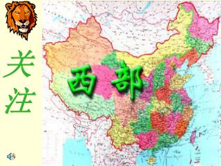 关 注