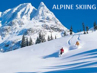 Alpine Skiing