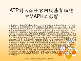 ATP對人類子宮內膜基質細胞中MAPK之影響