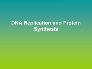 DNA Replication and Protein Synthesis