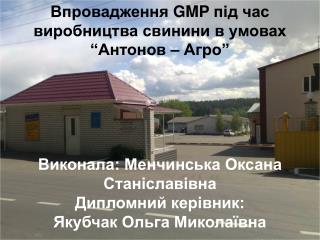Впровадження GMP під час виробництва свинини в умовах “Антонов – Агро”