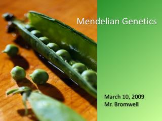 Mendelian Genetics