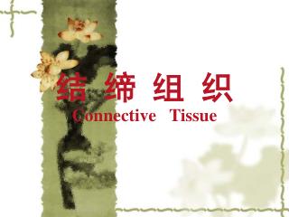 结 缔 组 织 Connective Tissue