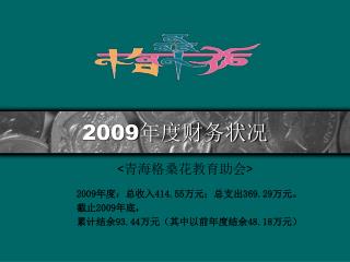 2009 年度财务状况
