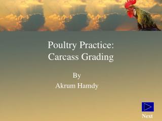 Poultry Practice: Carcass Grading