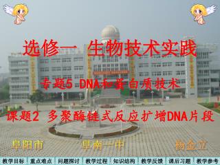 选修一 生物技术实践 专题 5 DNA 和蛋白质技术 课题 2 多聚酶链式反应扩增 DNA 片段