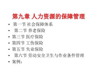 第九章 人力资源的保障管理