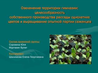 Состав проектной группы: Сорокина Юля Муртазин Булат Консультант: Шалимова Елена Георгиевна