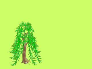 植树节